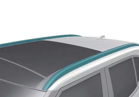 Factory roof rack side rails installed on the roof of the Kia EV2