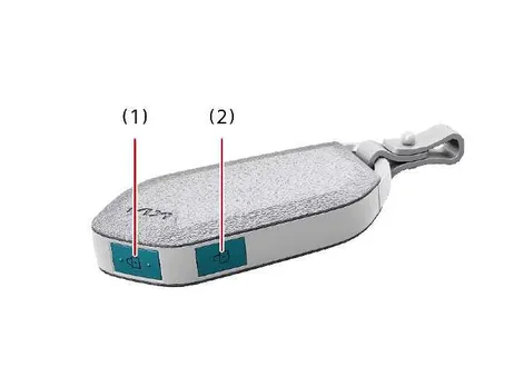 Kia EV2 smart key fob used for remote window operation